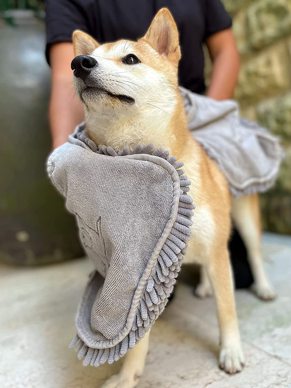 Tuff Pupper Drying muddy paws after hike shows mess-ready performance.