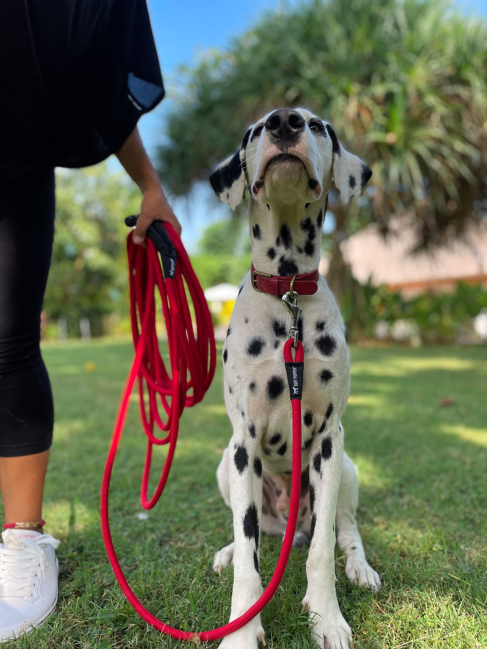 Tuff Pupper durable climbing rope close-up highlights rugged strength.