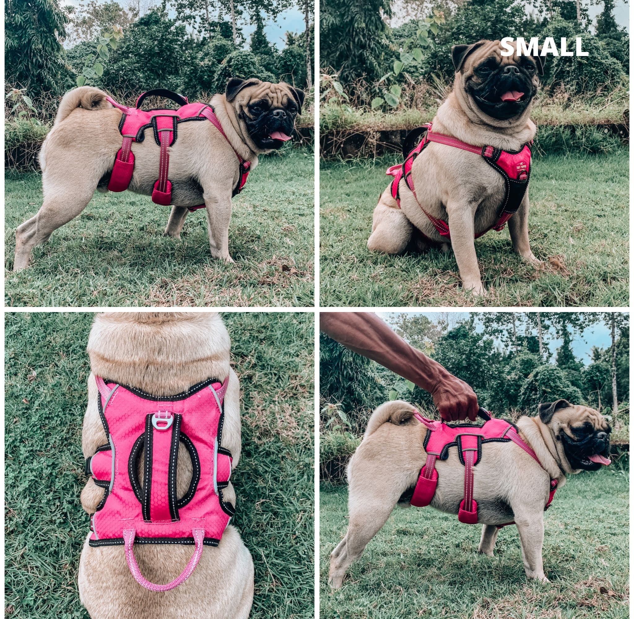 Tuff Pupper durable oxford fabric offers water resistance and rugged durability.
