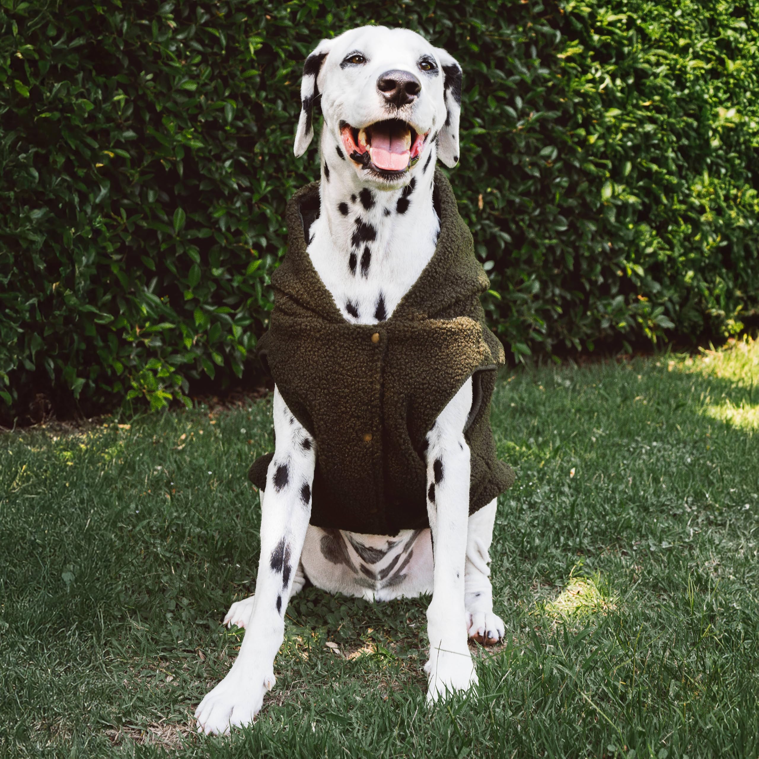 Tuff Pupper easy-care coat is machine washable for busy households.