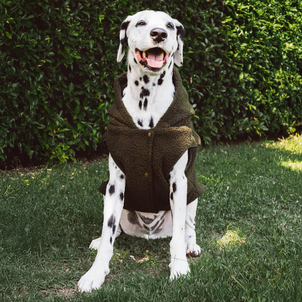 Tuff Pupper easy-care coat is machine washable for busy households.