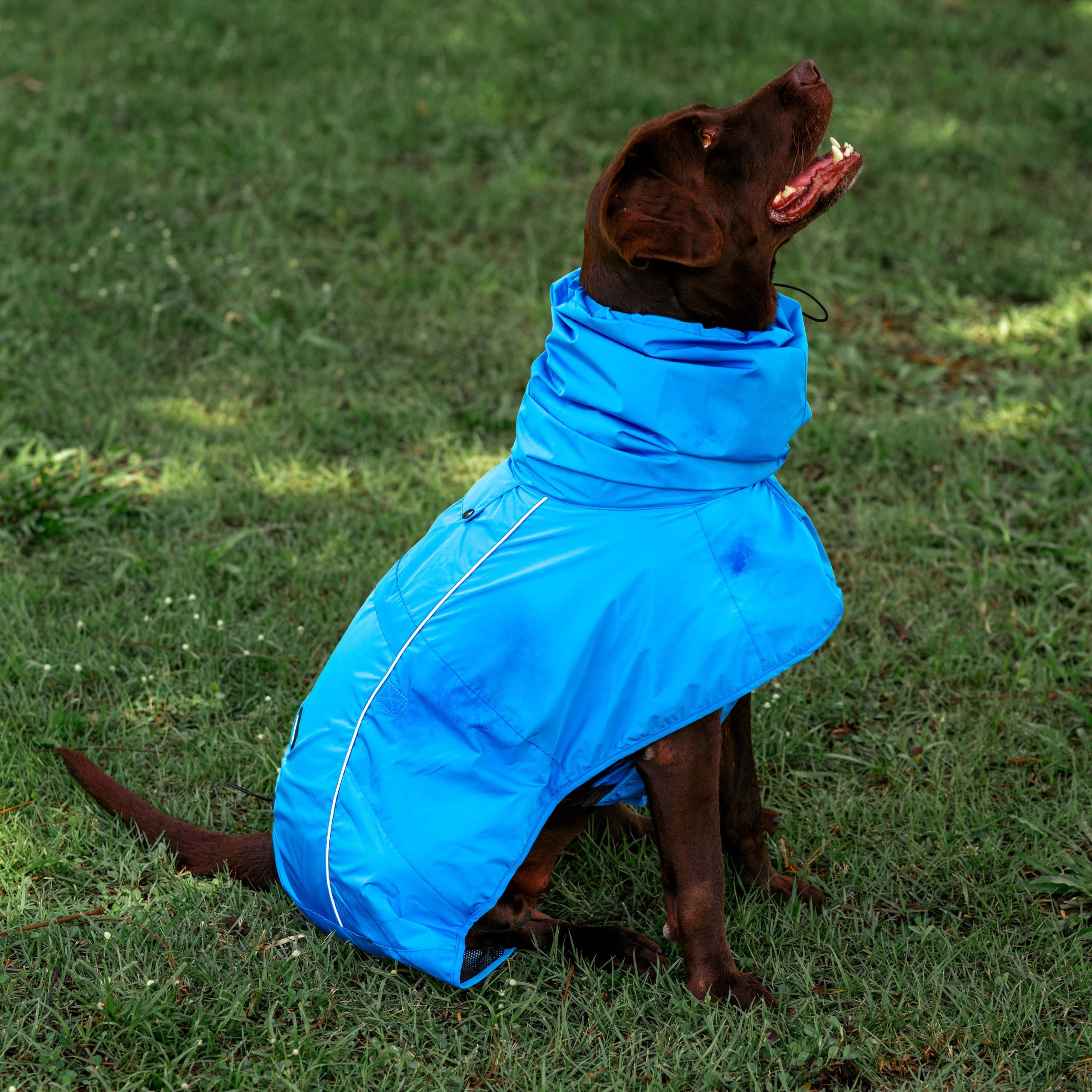 Tuff Pupper quick-dry fabric cleans after muddy adventures