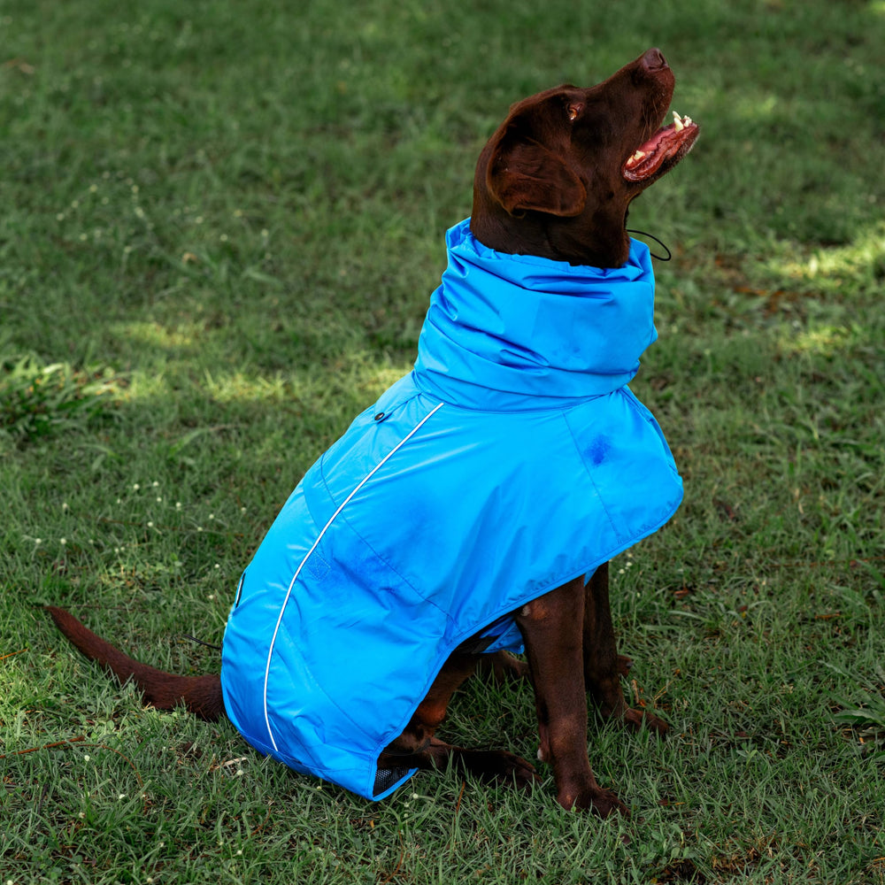 Tuff Pupper quick-dry fabric cleans after muddy adventures
