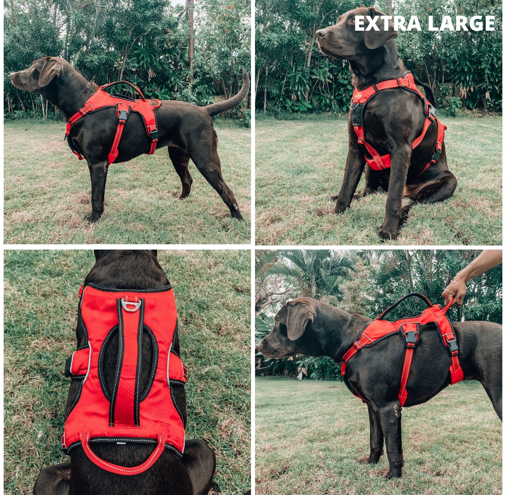 Tuff Pupper Escape Harness oxford fabric emphasizes durability and water resistance for daily use.