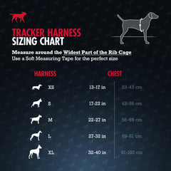 Tuff Pupper escape-proof harness rear D-ring supports safe walking in crowds