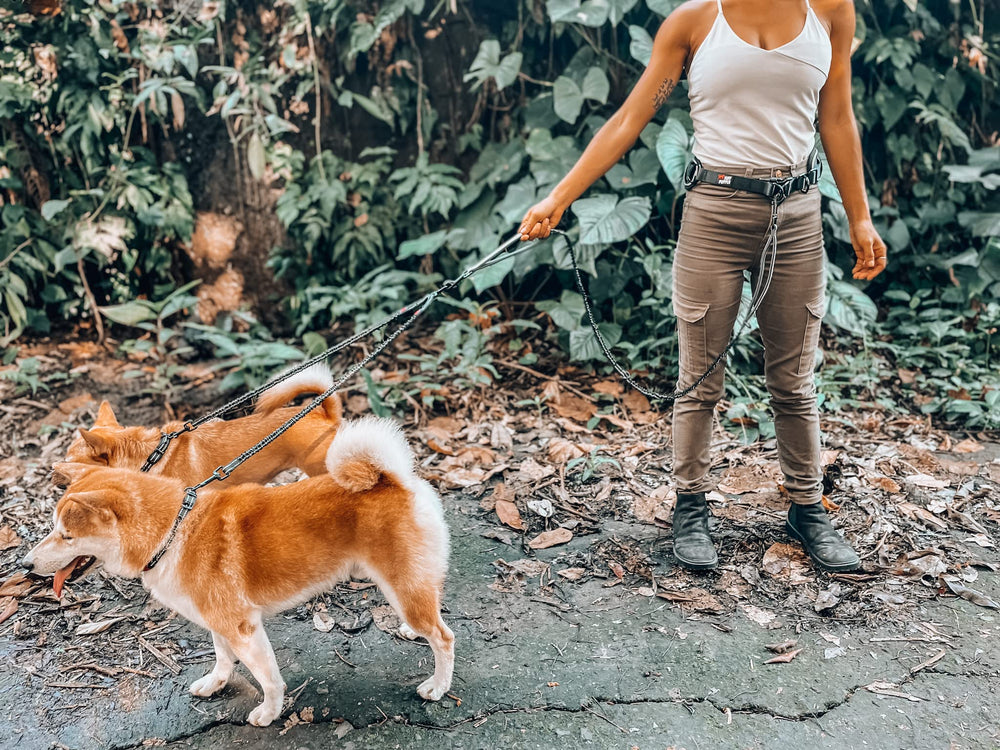 Tuff Pupper extendable-dog-leash shows expandability for more dogs