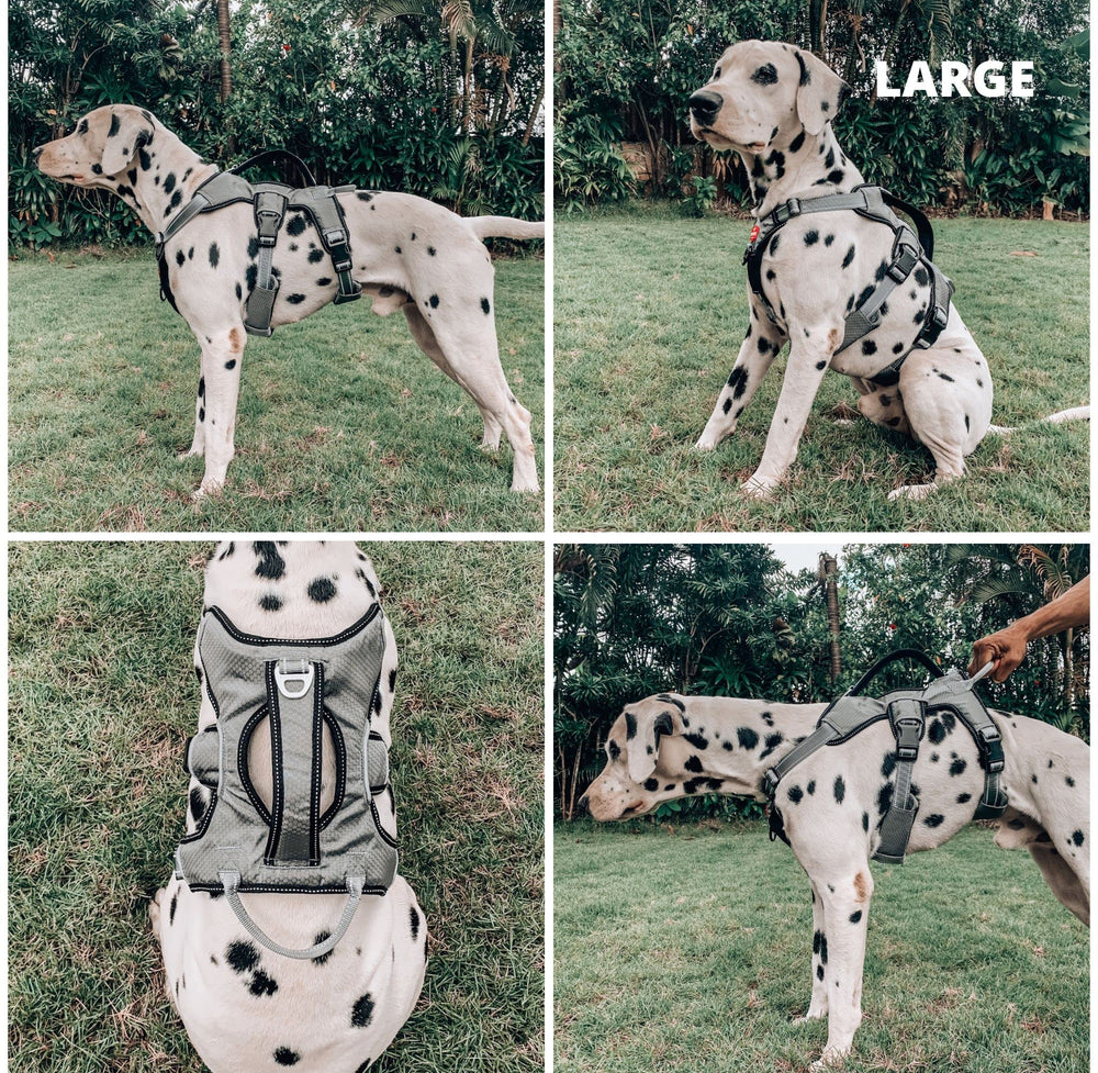 Tuff Pupper five-point adjustment offers a secure, customized fit.