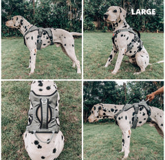 Tuff Pupper five-point adjustment offers a secure, customized fit.