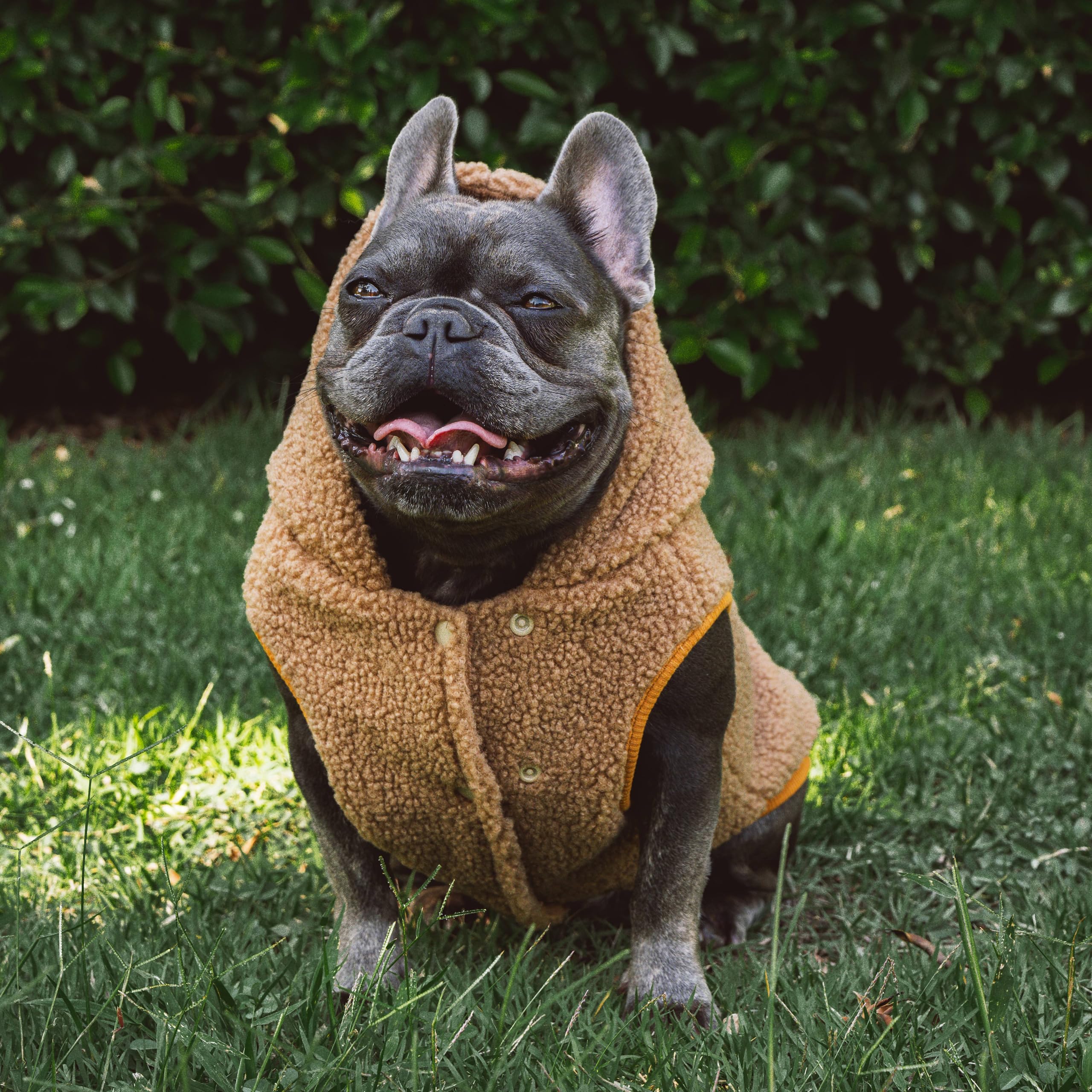 Tuff Pupper fleece dog hoodie size range XXS to XXL chart