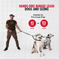 Tuff Pupper four bungee sections absorb pulls during multi-dog walking.
