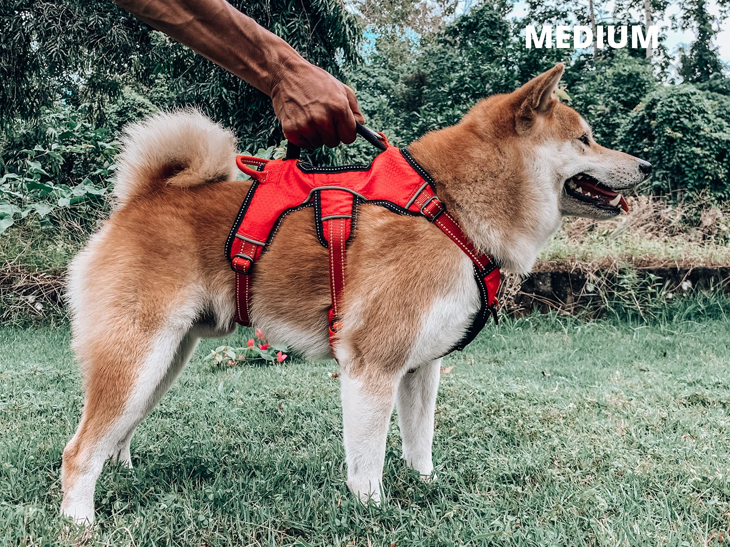 Tuff Pupper harness sizes chart illustrates easy selection for large and small breeds.