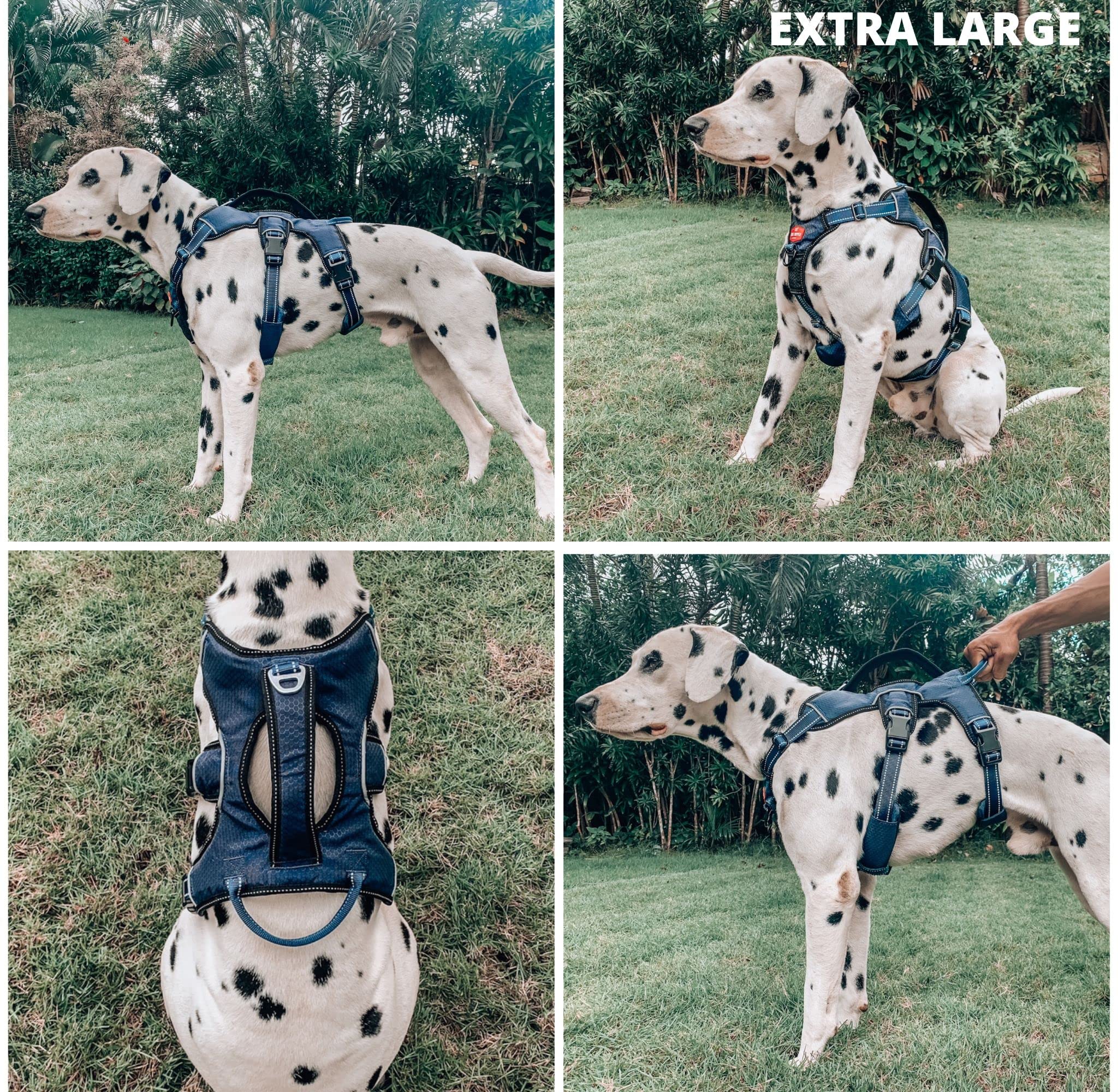 Tuff Pupper five-point adjustable harness ensures a secure, custom fit