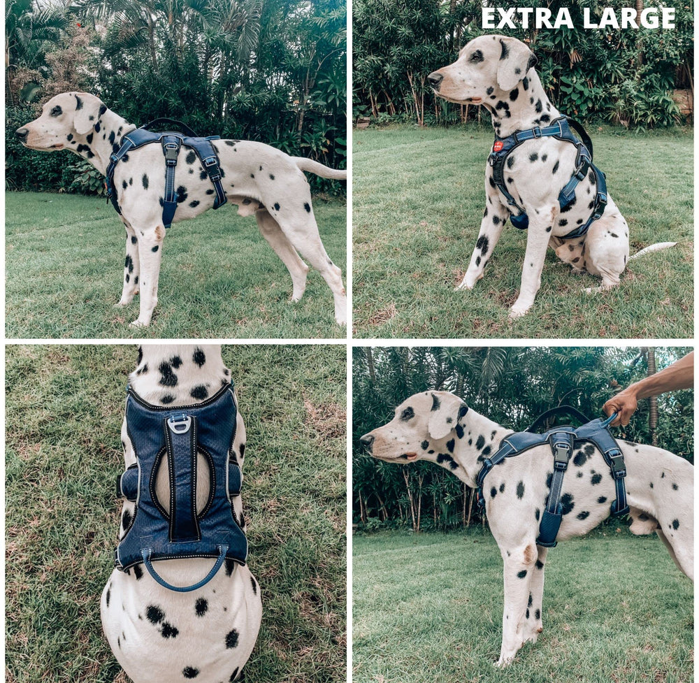Tuff Pupper five-point adjustable harness ensures a secure, custom fit