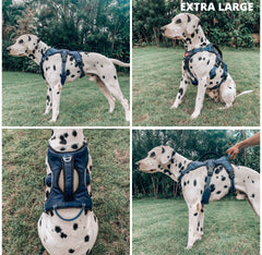 Tuff Pupper five-point adjustable harness ensures a secure, custom fit