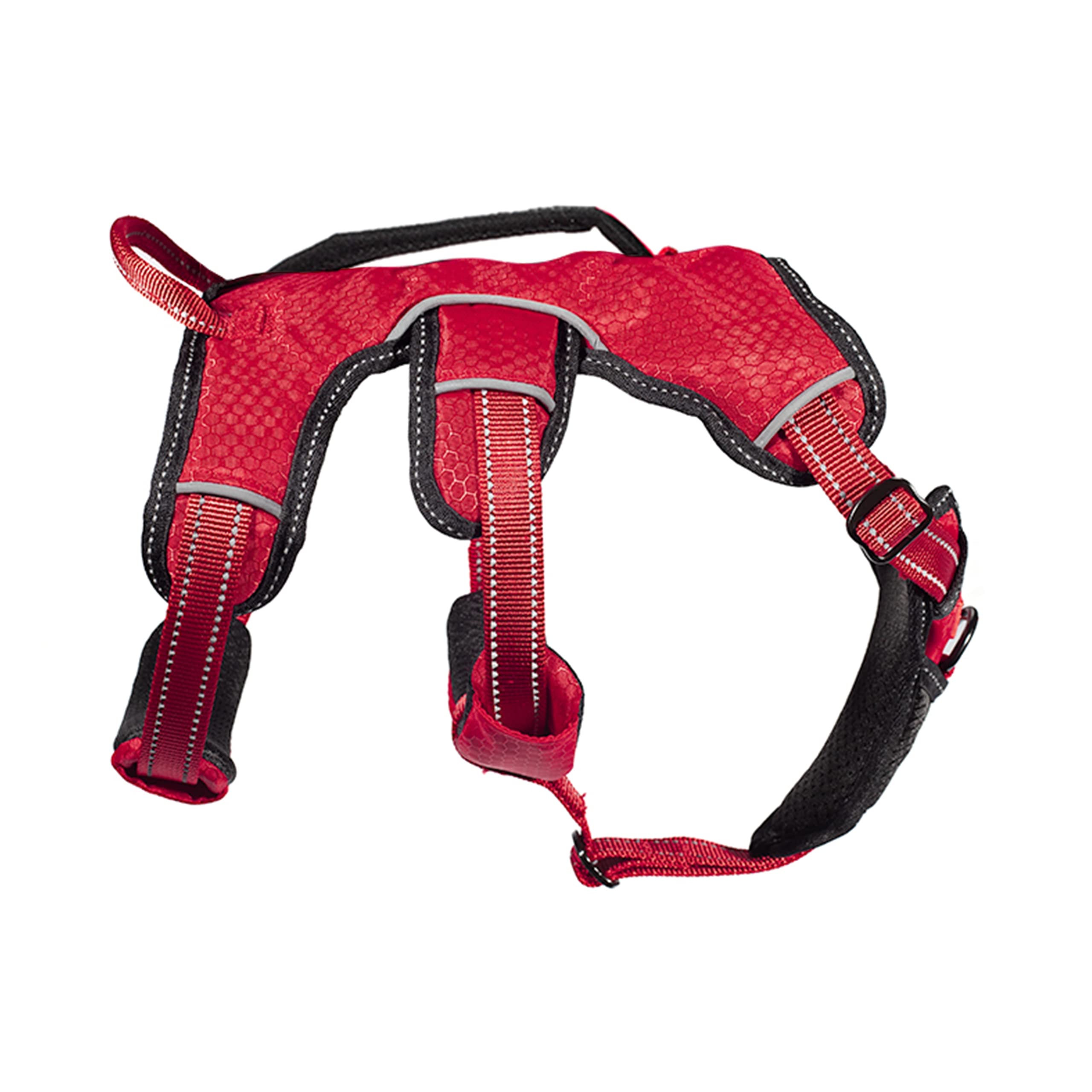 Tuff Pupper harness in action during a calm outdoor walk.