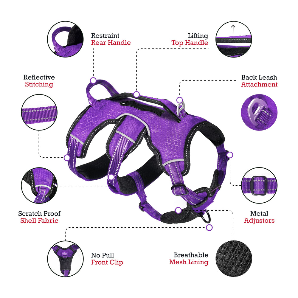 Tuff Pupper mesh padding view showing breathable comfort on active dogs.