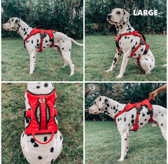 Tuff Pupper harness features oxford fabric for durability in rain or mud.