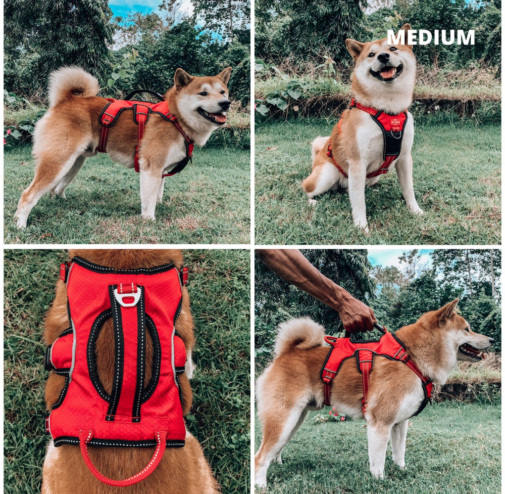 Tuff Pupper harness padding closeup highlights breathable comfort and zero hot spots.