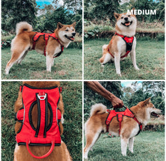 Tuff Pupper harness padding closeup highlights breathable comfort and zero hot spots.