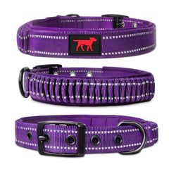 Tuff Pupper heavy-duty collar buckle—rugged construction designed for durability on daily walks