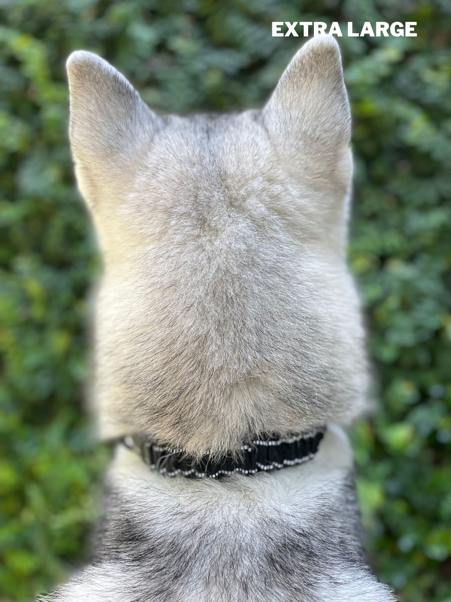 Tuff Pupper lifetime guarantee supports worry-free ownership.