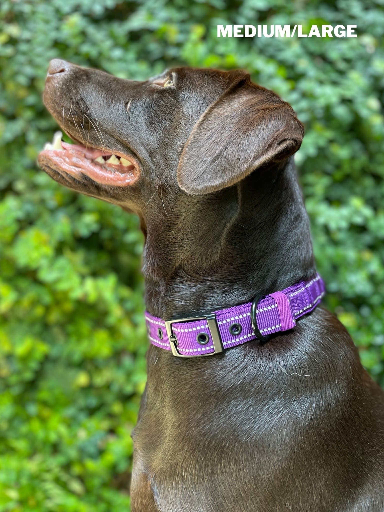 Tuff Pupper lifetime guarantee—peace of mind against manufacturing defects