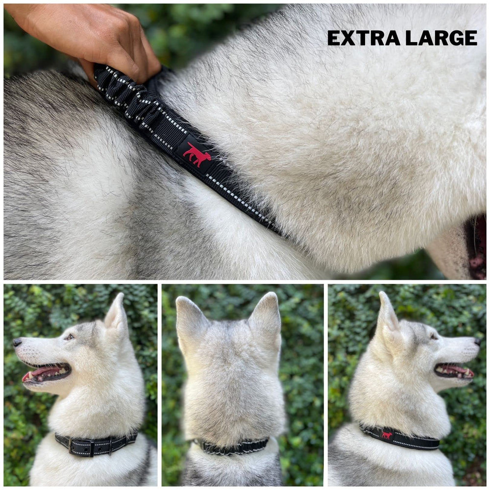 Tuff Pupper neoprene padding interior keeps comfort during long daily walks.