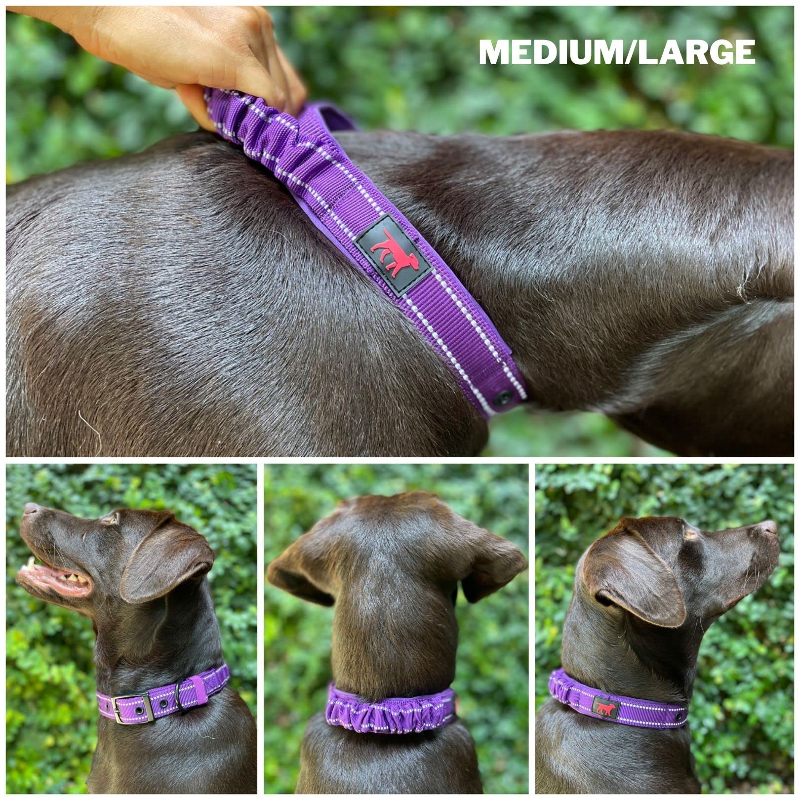 Tuff Pupper neoprene padding inside—comfortable wear during vigorous activity