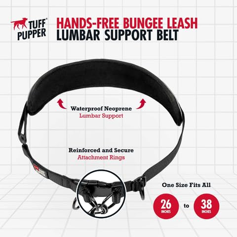 Tuff Pupper nighttime reflective stitching for safer evening walks.