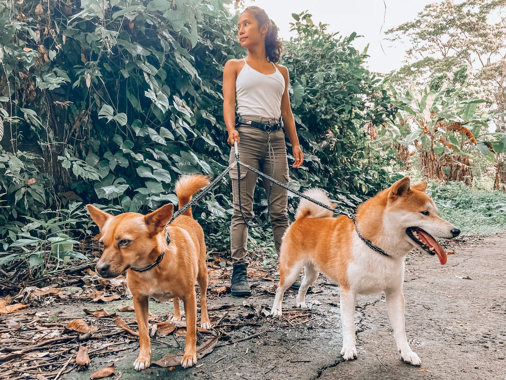 Tuff Pupper nighttime-safety-belt highlights reflective belt features
