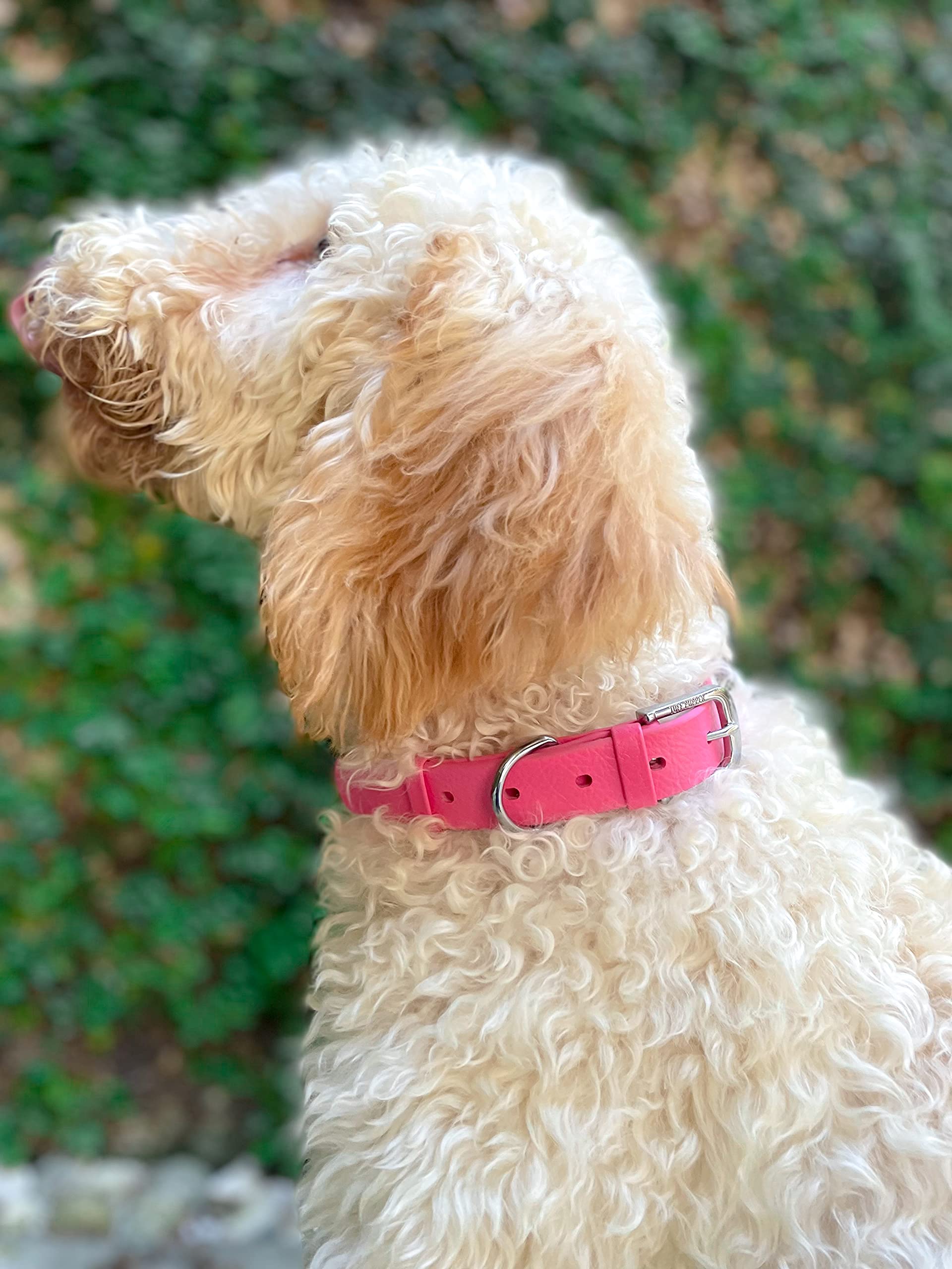 Tuff Pupper Odor-free Dog Collar Life feature for easy cleaning after muddy play
