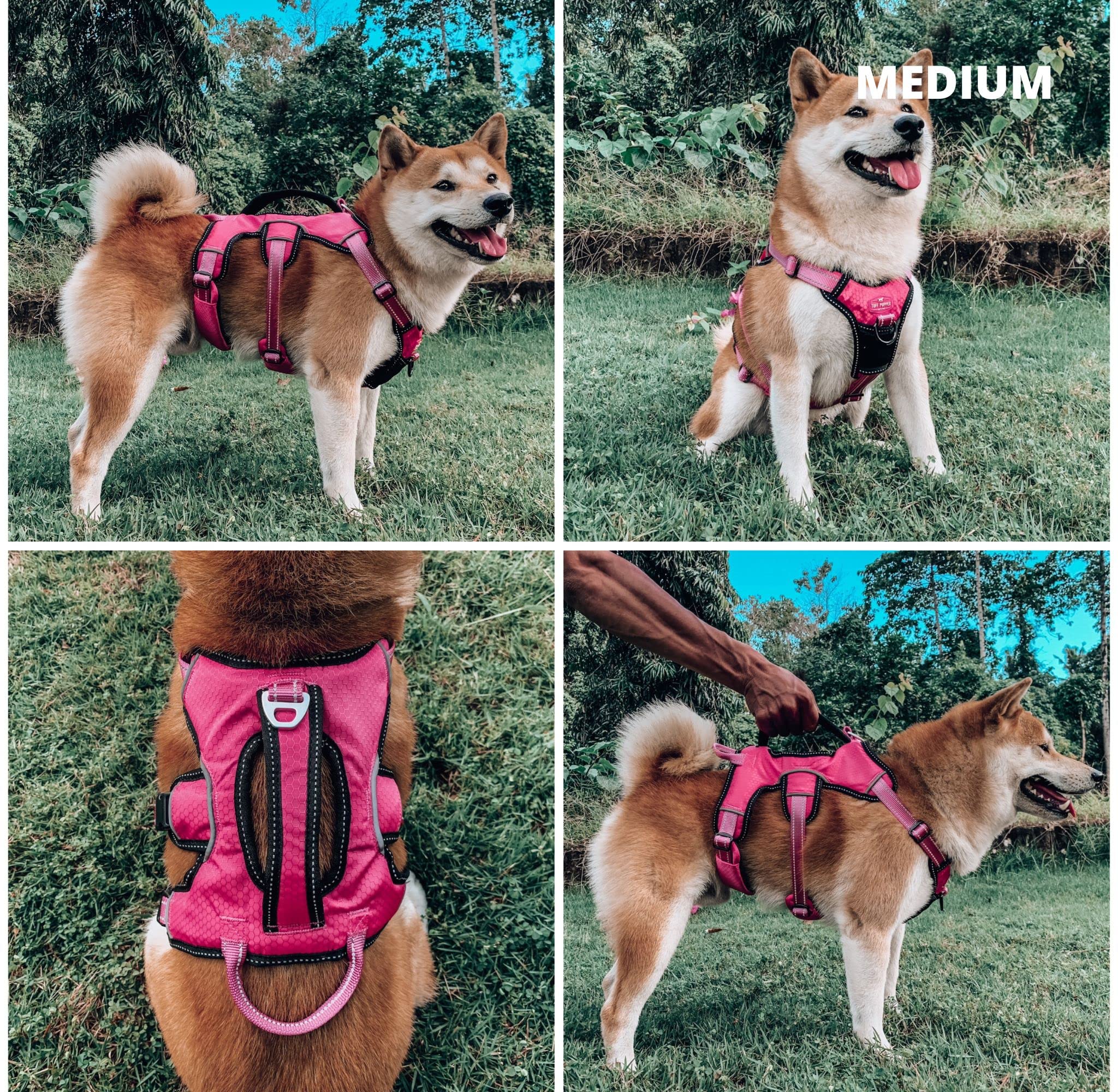 Tuff Pupper Oxford fabric harness demonstrates rugged durability for daily adventures