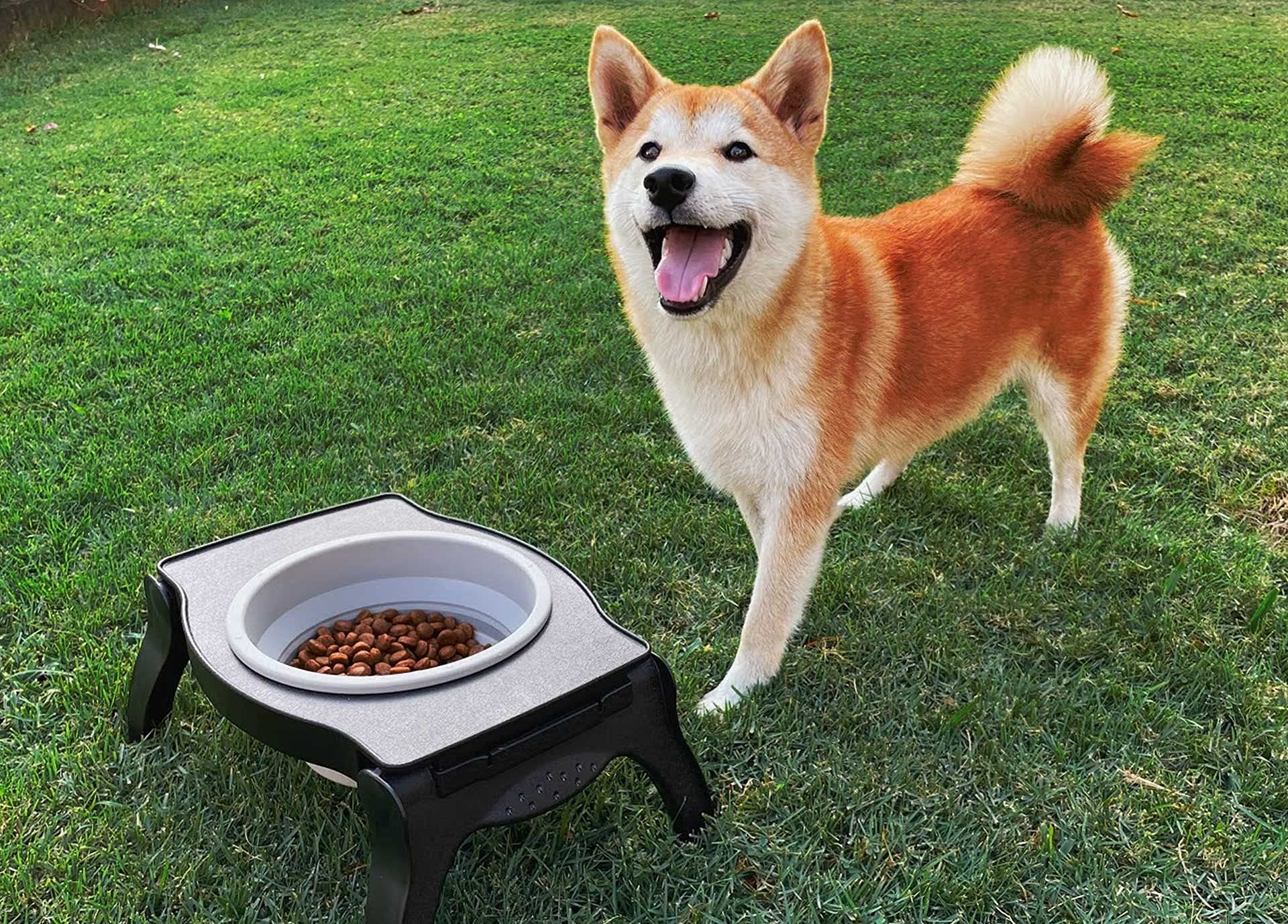 Tuff Pupper portable feeding solution for multi-dog households while traveling.