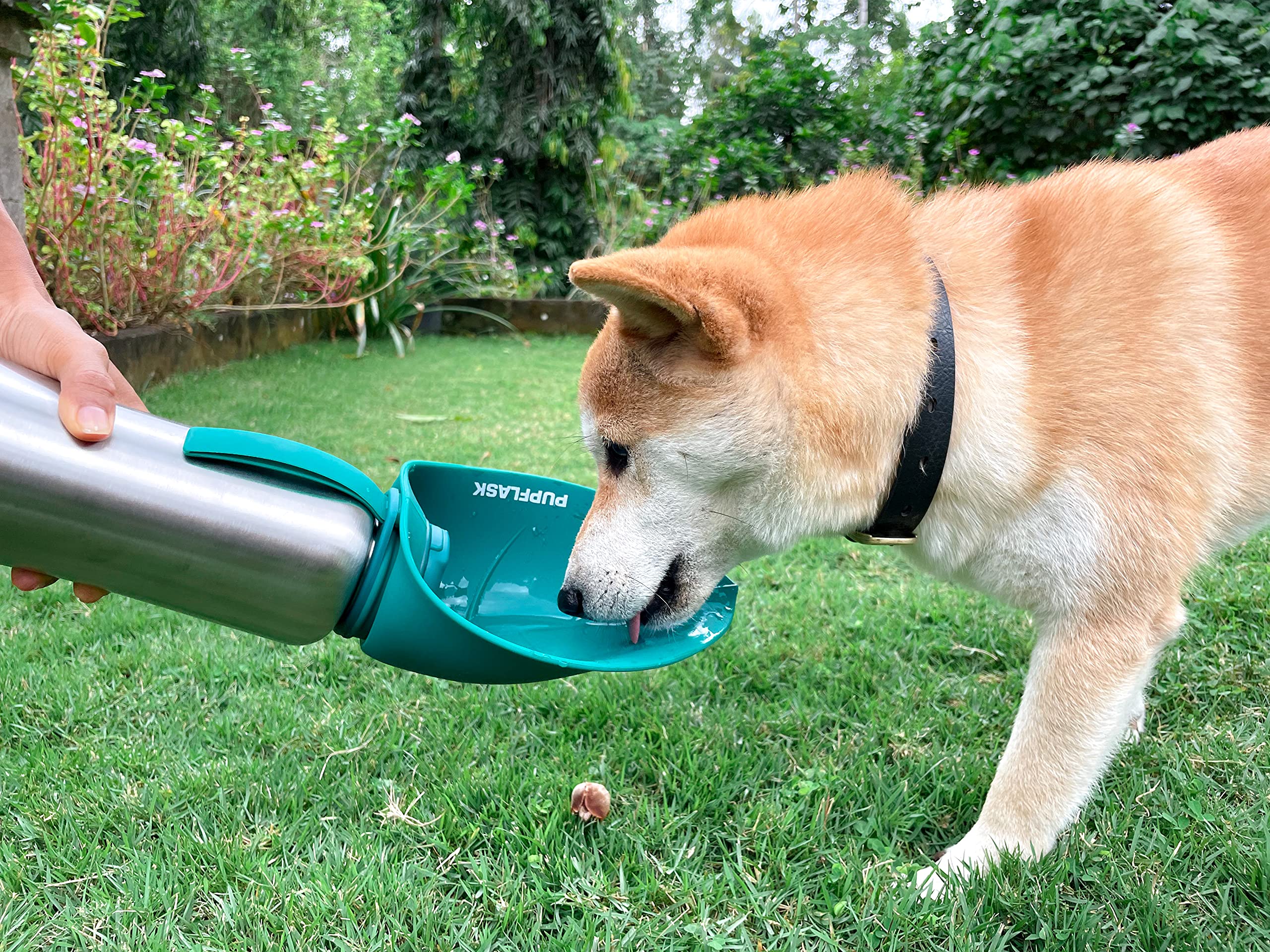Tuff Pupper PupFlask suitable for all breeds during travel
