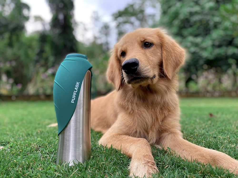 Tuff Pupper PupFlask suitable for all breeds and travel styles.