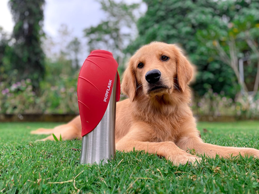 Tuff Pupper PupFlask leak-proof design keeps bags and car tidy.