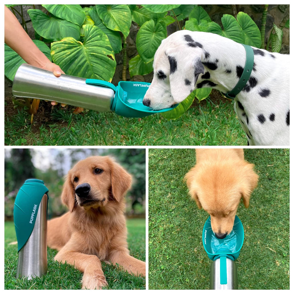 Tuff Pupper PupFlask on-the-go hydration for active dogs.