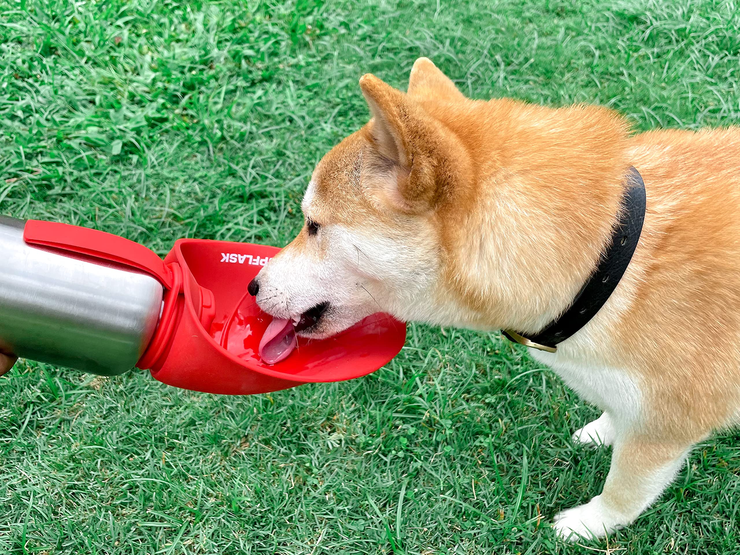 Tuff Pupper PupFlask on the go hydration for all breeds.
