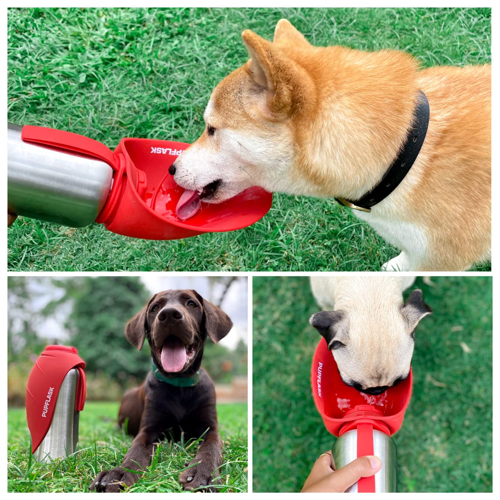 Tuff Pupper PupFlask stainless steel body resists dents and stays durable.