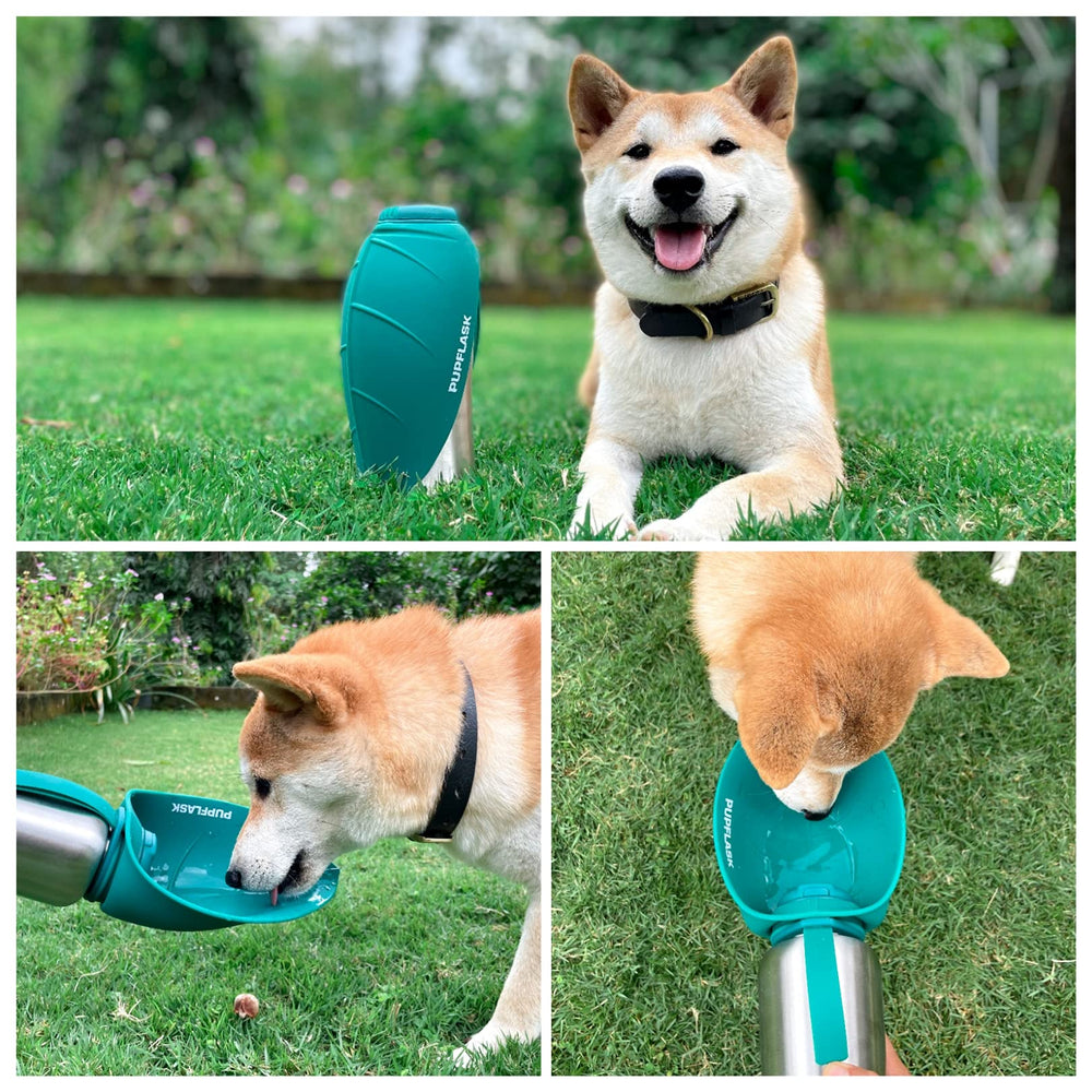 Tuff Pupper PupFlask stainless steel exterior for durable odor-free hydration