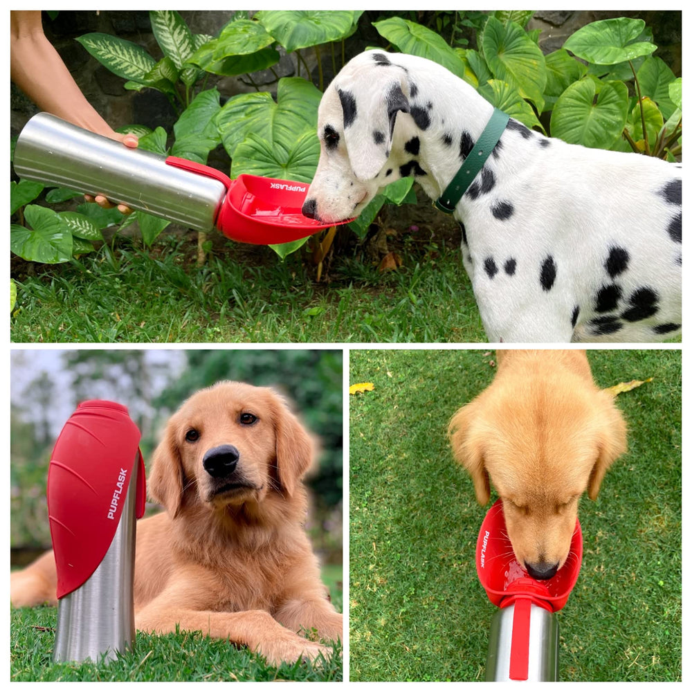 Tuff Pupper PupFlask in use on a walk, showcasing portable hydration for dogs.