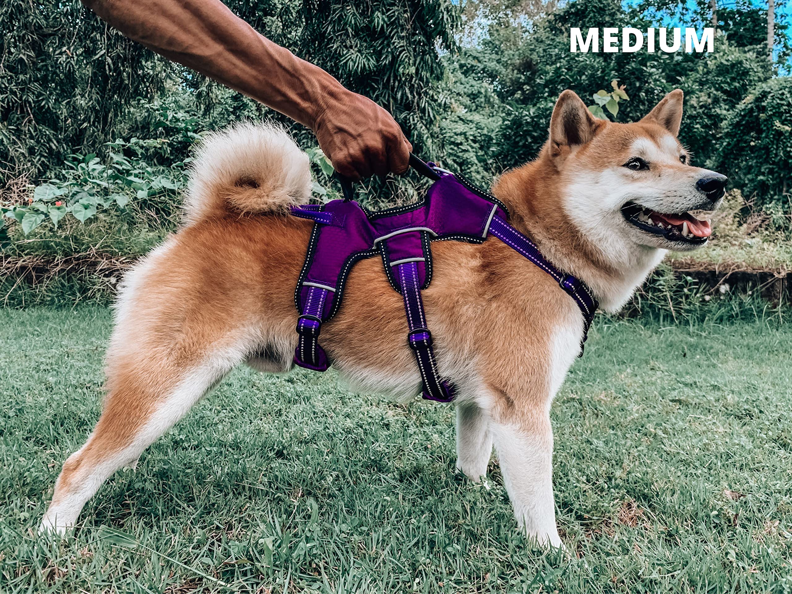 Tuff Pupper quick-release buckles view highlight easy on/off.
