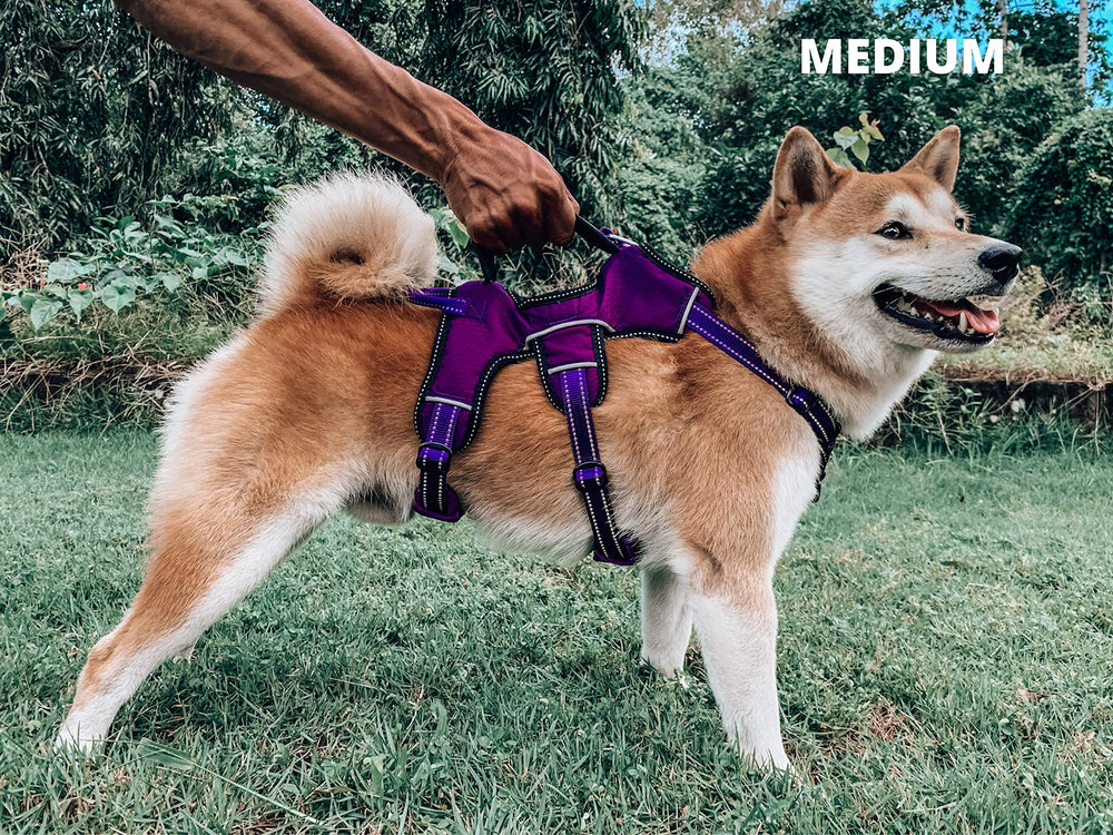 Tuff Pupper quick-release buckles view highlight easy on/off.