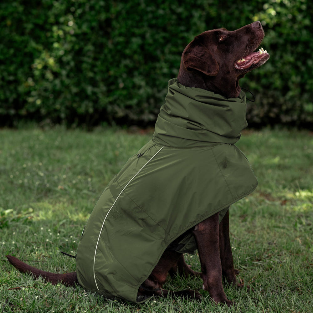 Machine-washable and quick-drying Tuff Pupper raincoat ready for next adventure