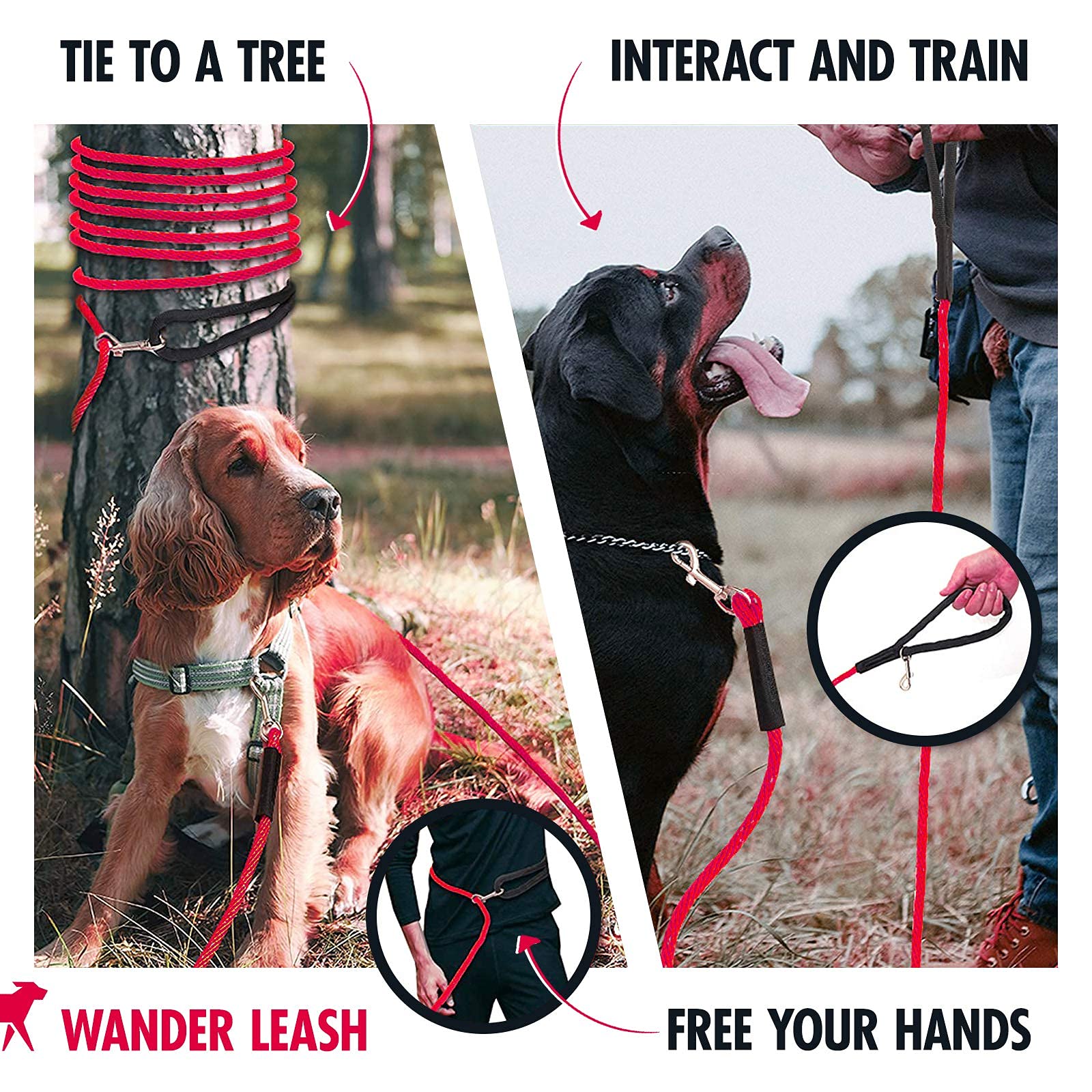 Tuff Pupper recall training in action with a long-line lead.