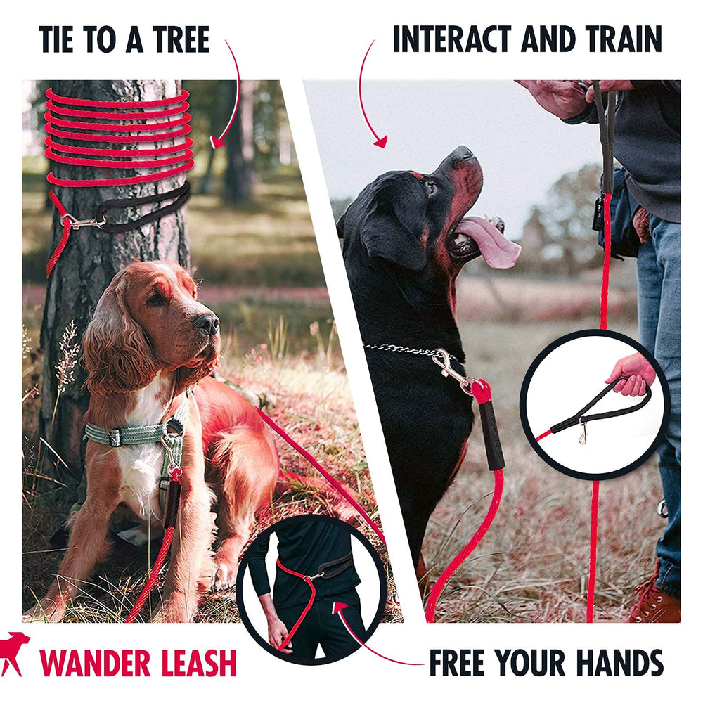 Tuff Pupper recall training in action with a long-line lead.