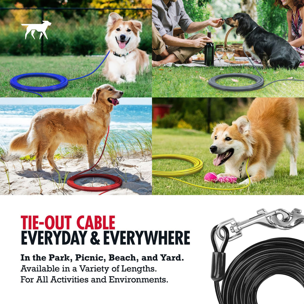 Tuff Pupper reflective coating enhances visibility for evening walks.