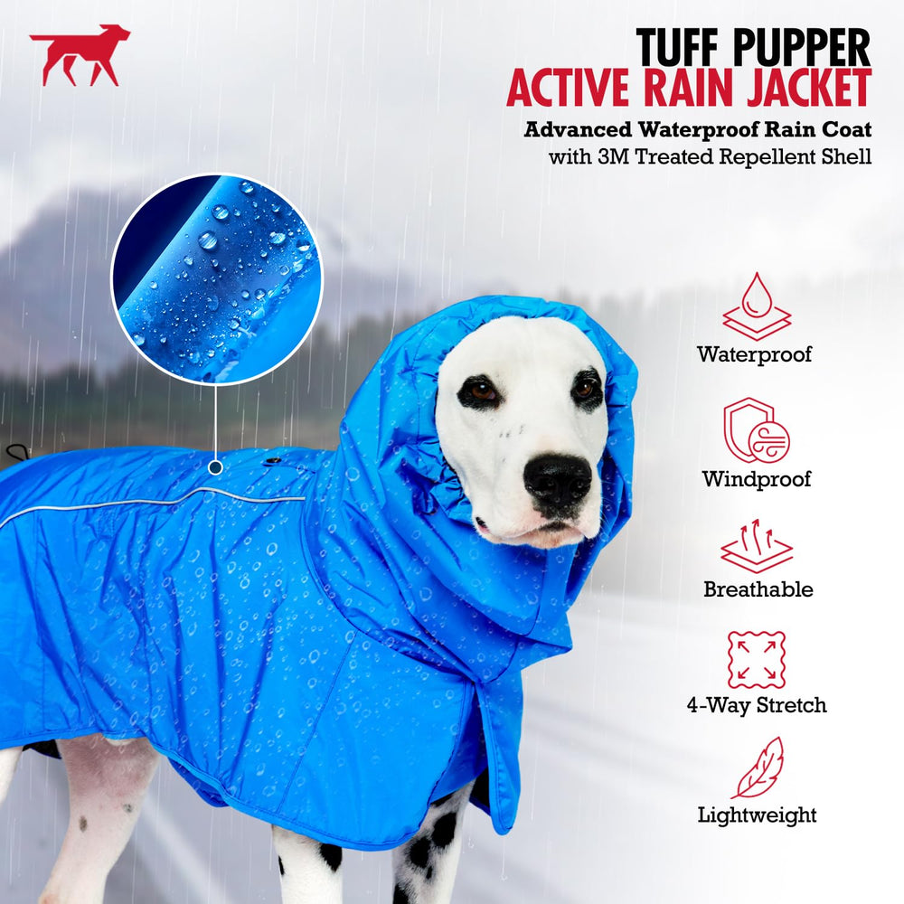 Tuff Pupper reflective safety trim boosts visibility during evening walks