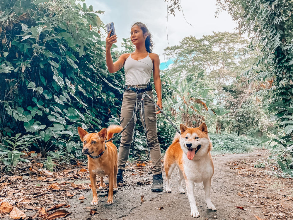 Tuff Pupper reflective-stitching improves visibility on evening walks