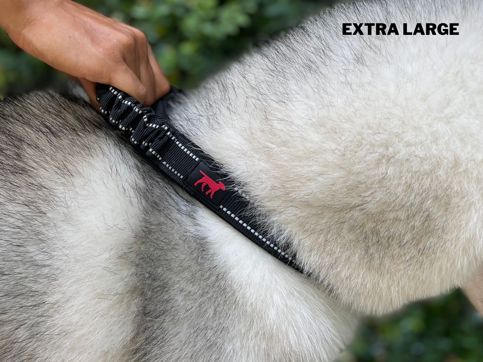 Tuff Pupper safety handle in action for quick control against traffic.